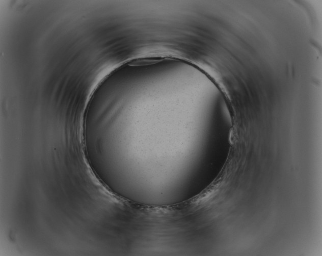 X0000091890815200709191216