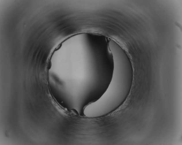 X0000091890816200709191216