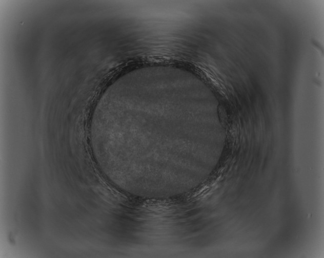 X0000091890817200709191215