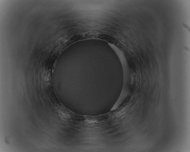 X0000091890818200709191215