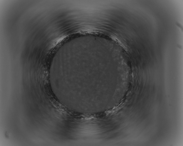 X0000091890822200709191215