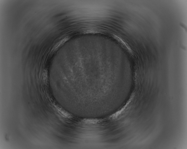 X0000091890825200709191215