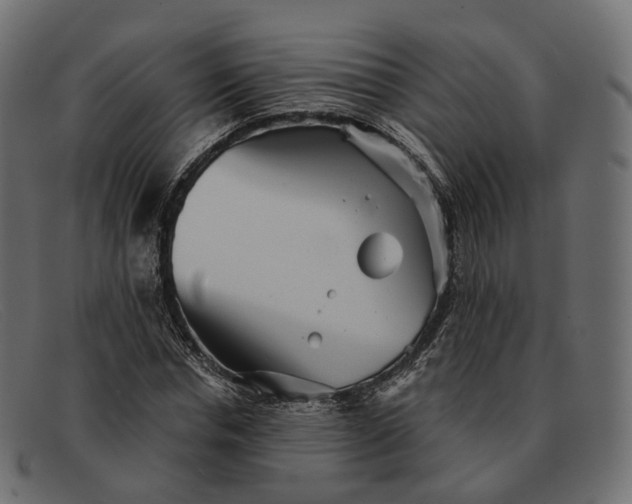 X0000091890826200709191215
