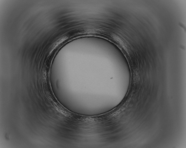 X0000091890827200709191215