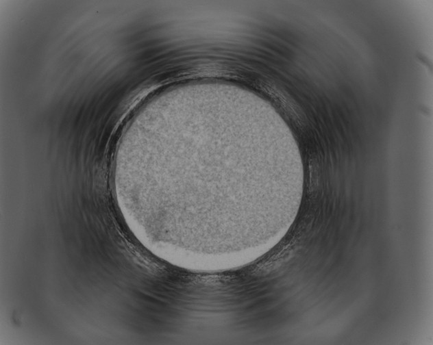 X0000091890828200709191216