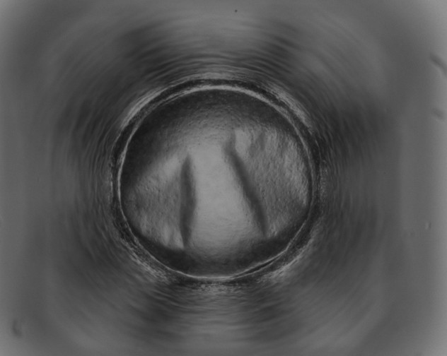 X0000091890829200709191216