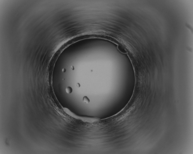 X0000091890830200709191216