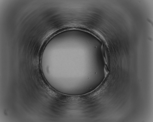 X0000091890831200709191216