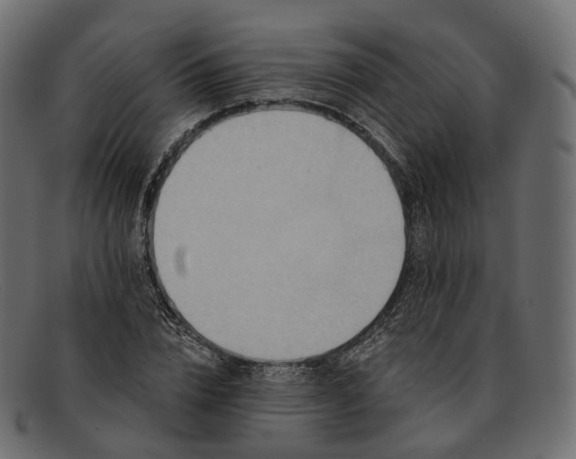 X0000091890832200709191216