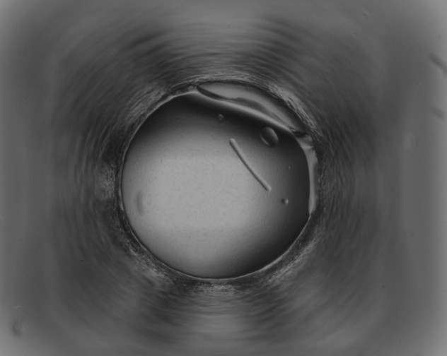 X0000091890833200709191216