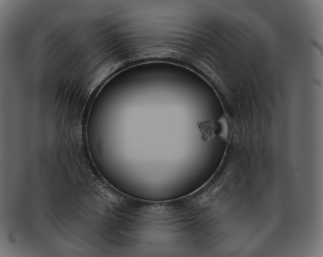 X0000091890834200709191216