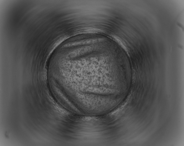 X0000091890835200709191216