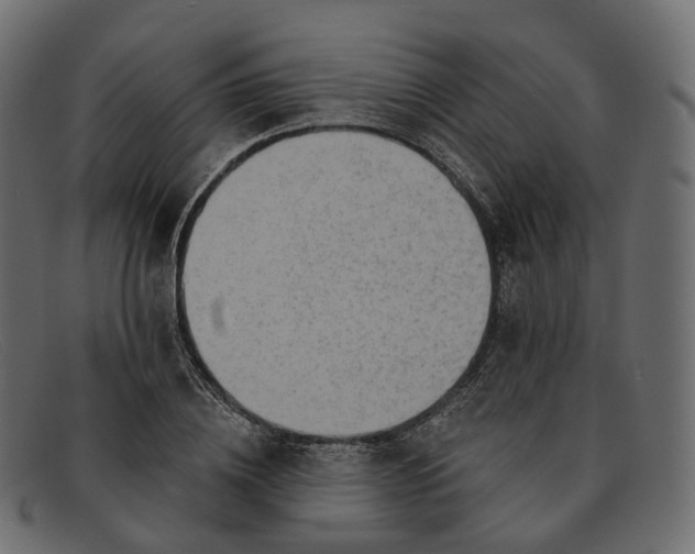 X0000091890836200709191216