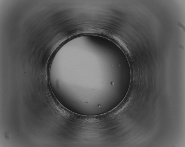 X0000091890837200709191216