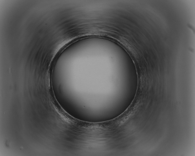 X0000091890838200709191216