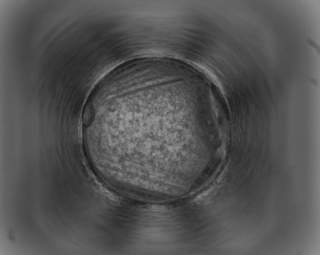 X0000091890839200709191216