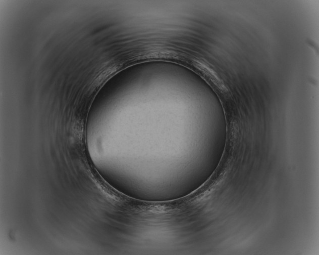 X0000091890841200709191216