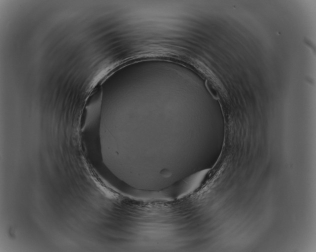 X0000091890842200709191216