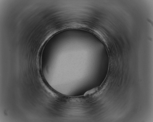 X0000091890843200709191216