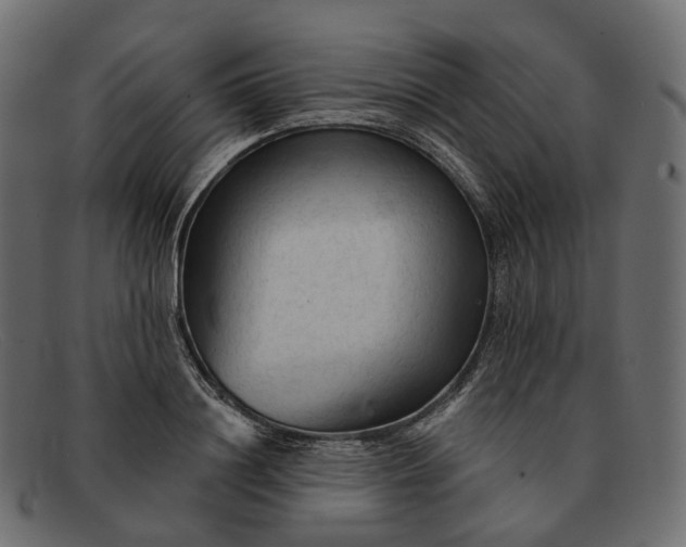 X0000091890844200709191216