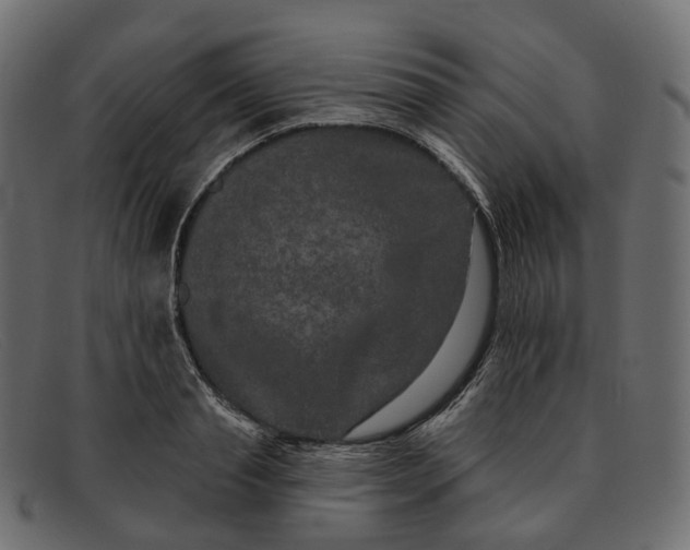 X0000091890845200709191216