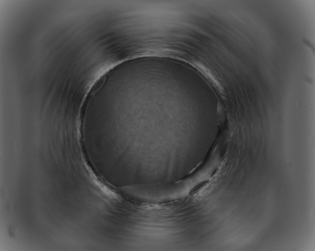 X0000091890846200709191216