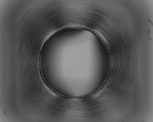 X0000091890847200709191216