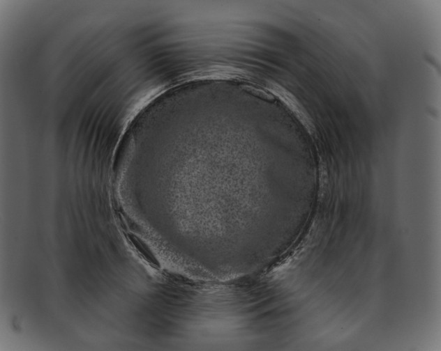 X0000091890850200709191216