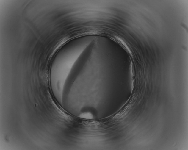 X0000091890851200709191216