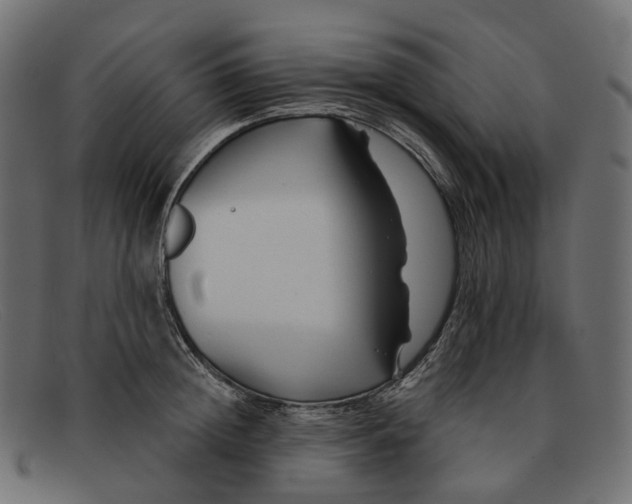 X0000091890852200709191216