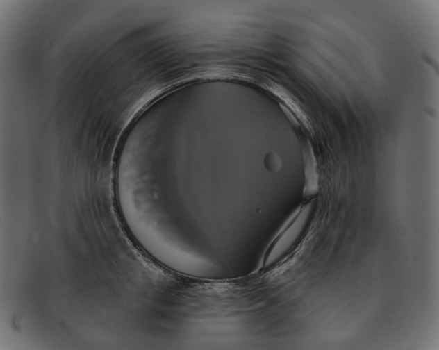 X0000091890853200709191216