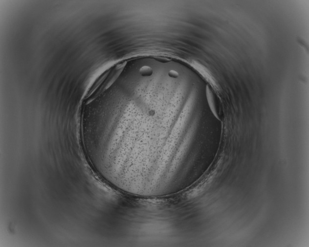 X0000091890854200709191216