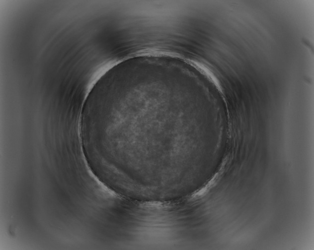 X0000091890855200709191216