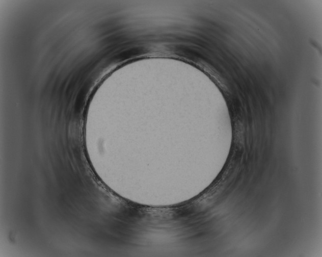 X0000091890856200709191216