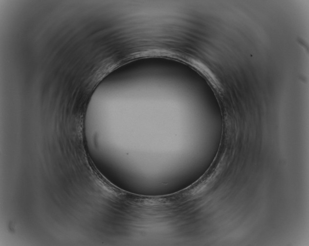 X0000091890857200709191216