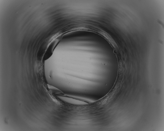 X0000091890858200709191216