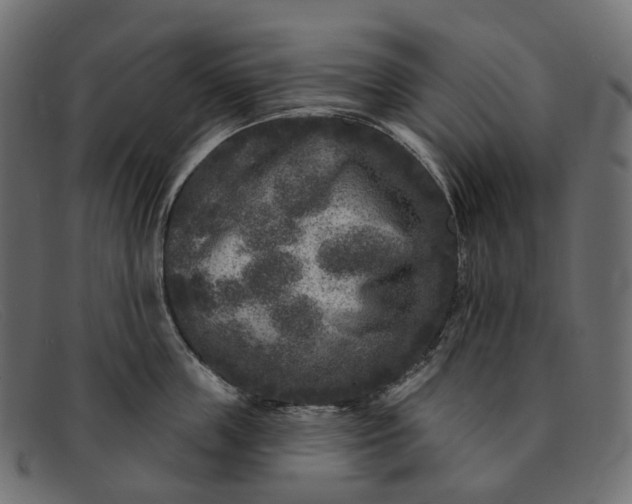 X0000091890859200709191216