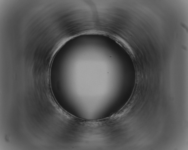 X0000091890860200709191216