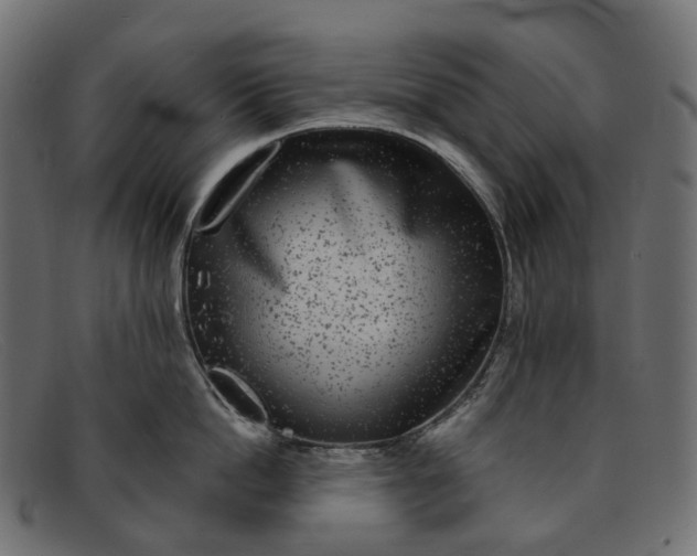 X0000091890862200709191216