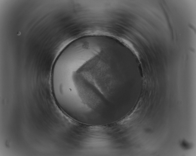 X0000091890863200709191216