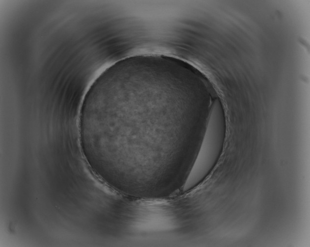 X0000091890864200709191216
