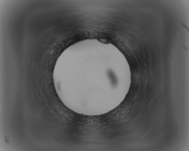 X0000091890865200709191215