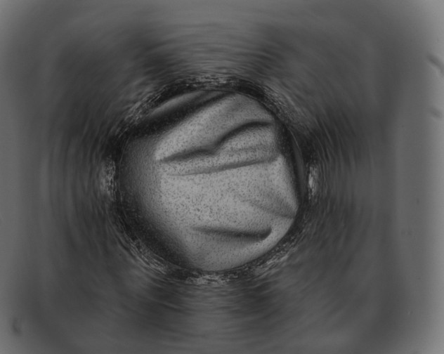 X0000091890867200709191215