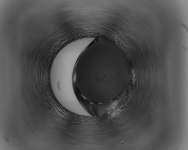 X0000091890868200709191215