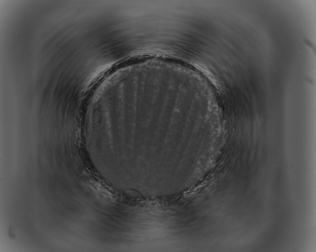 X0000091890872200709191215