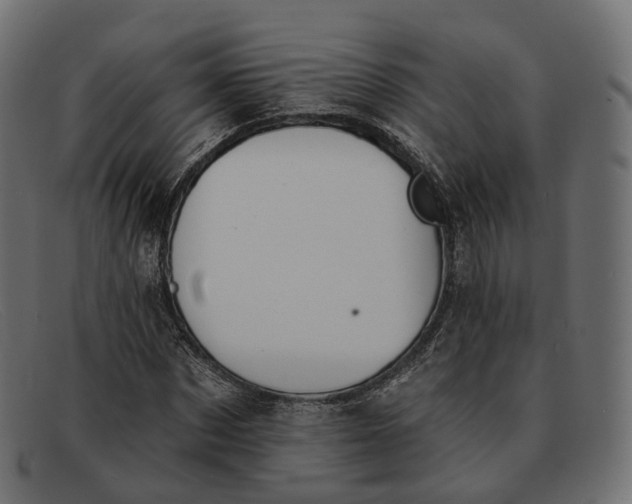 X0000091890873200709191215