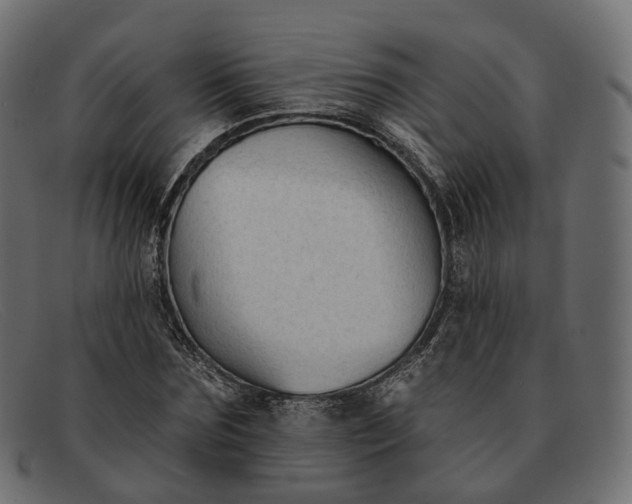 X0000091890875200709191215