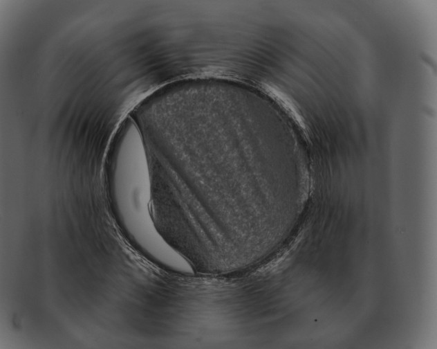 X0000091890876200709191215