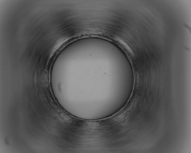 X0000091890878200709191215