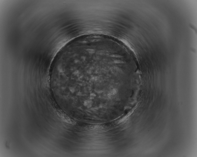 X0000091890879200709191215